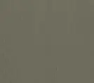 Mahogany Bronze